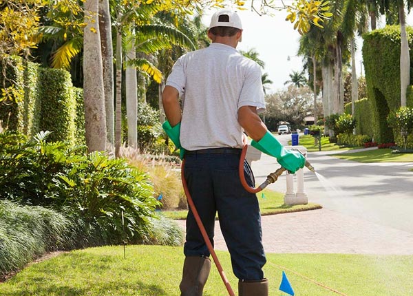 About Montgomery WV Pest Control